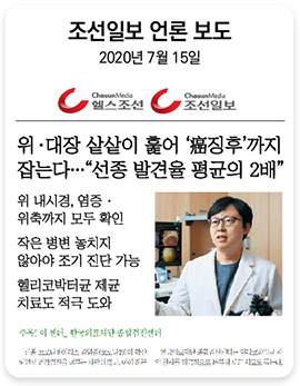조선일보 언론 보도